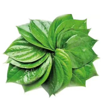 Paan (Betel Leaf) 10 pcs