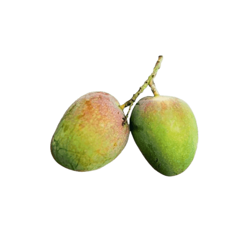Mango Bari 4 ± 50 gm 3 kg