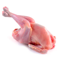 Lazy loading image