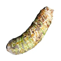 Lazy loading image