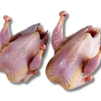 Lazy loading image