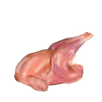 Lazy loading image