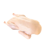 Lazy loading image