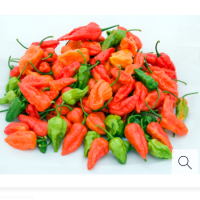 Lazy loading image