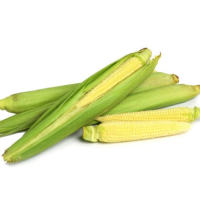Lazy loading image