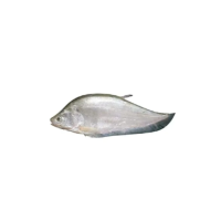 Lazy loading image