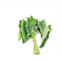Lazy loading image
