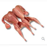 Lazy loading image