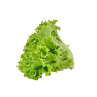 Lazy loading image