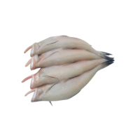 Lazy loading image