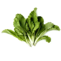 Lazy loading image