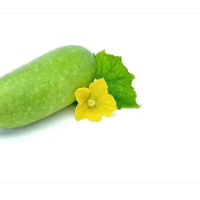 Lazy loading image